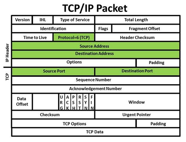 tcp%20packet-format.jpg